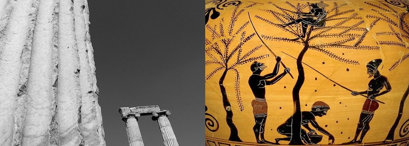 Extra virgin Olive Oil OF GREECE CATSACOULIS S.A.