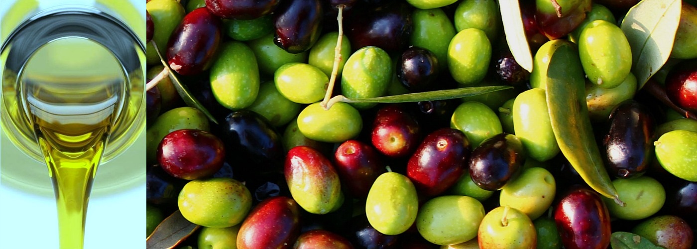 OLIVE OIL OF GREECE CATSACOULIS S.A.