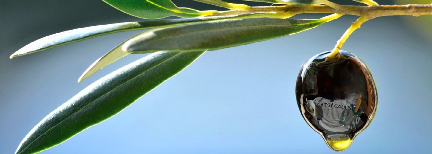 Extra virgin Olive Oil OF LESVOS CATSACOULIS S.A.