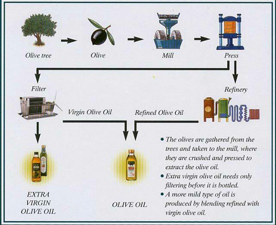 PRODUCTS Extra Virgin Olive Oil CATSACOULIS S.A.